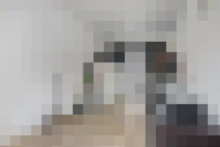 Mackenhof 2 Schaijk thumbnail 19