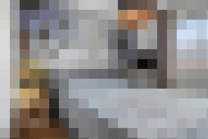 Mackenhof 2 Schaijk thumbnail 20