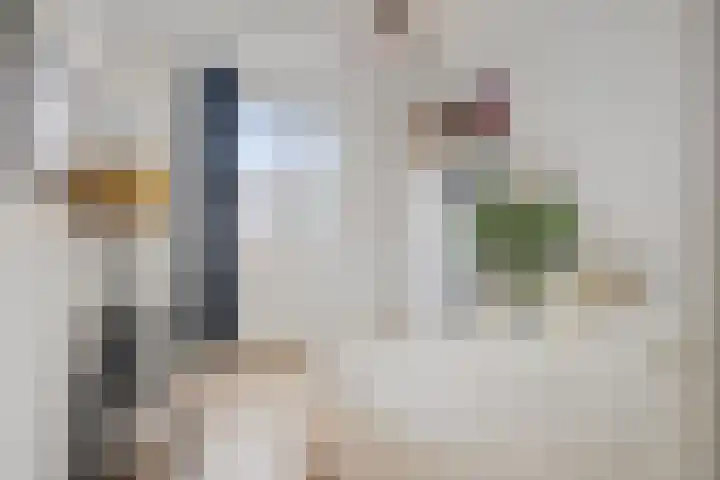Mackenhof 2 Schaijk thumbnail 24