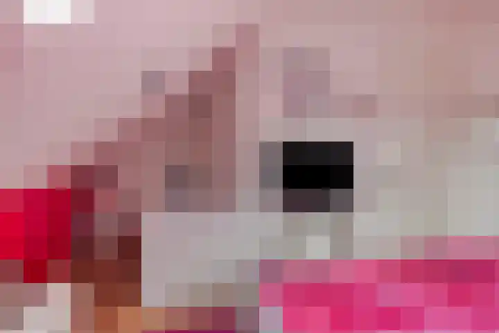 Mackenhof 2 Schaijk thumbnail 35