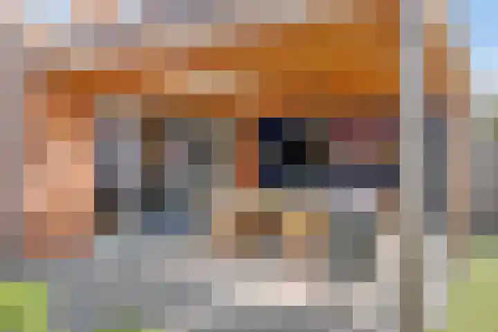 Mackenhof 2 Schaijk thumbnail 36