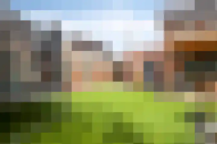 Mackenhof 2 Schaijk thumbnail 39
