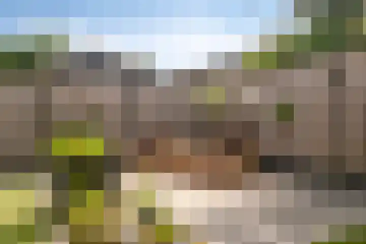 Mackenhof 2 Schaijk thumbnail 40
