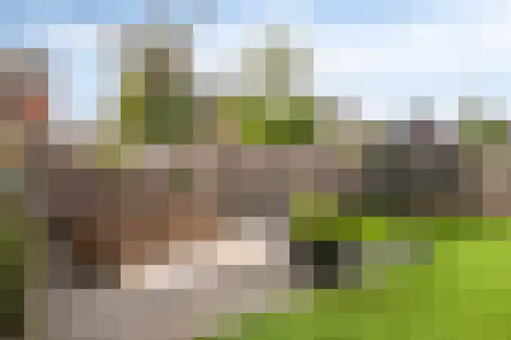 Mackenhof 2 Schaijk thumbnail 41