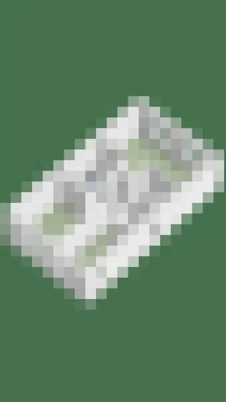 Mackenhof 2 Schaijk thumbnail 50