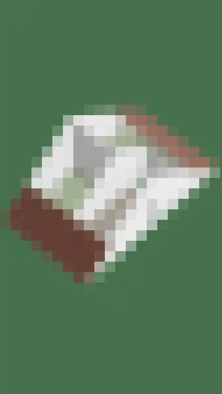 Mackenhof 2 Schaijk thumbnail 52