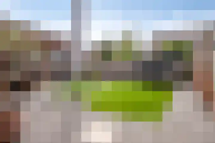 Mackenhof 2 Schaijk thumbnail 6