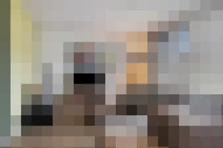 Mackenhof 2 Schaijk thumbnail 9