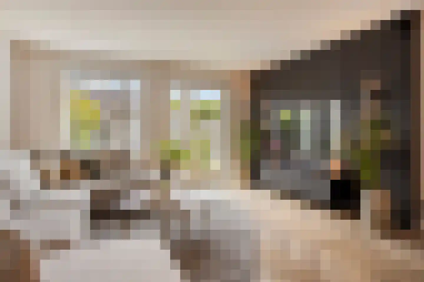 Mackenhof 21 Schaijk thumbnail 12