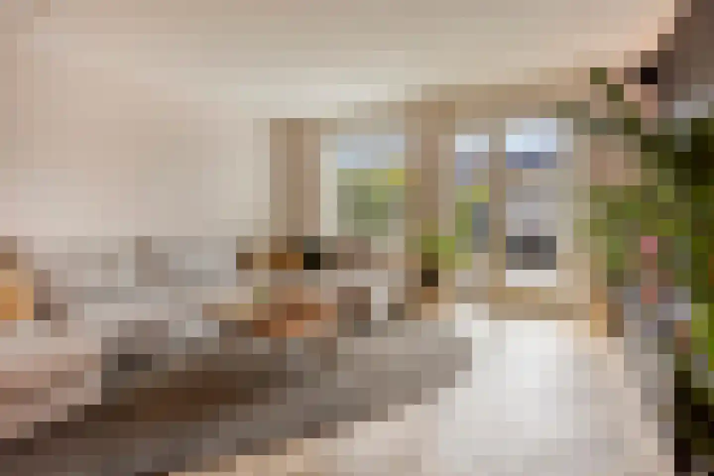 Mackenhof 21 Schaijk thumbnail 13