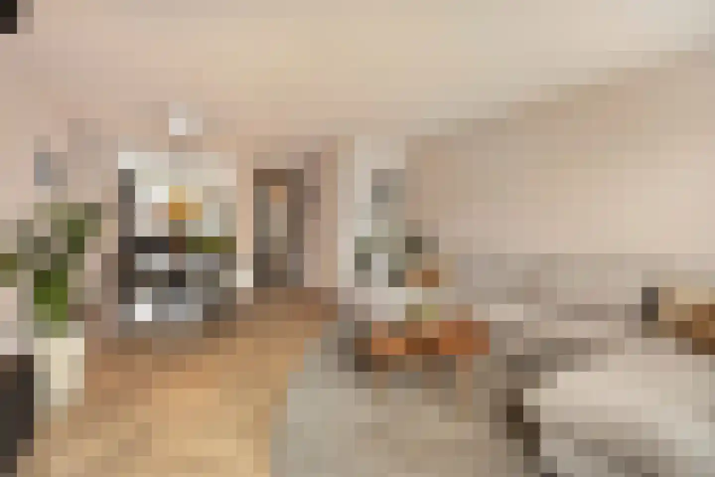 Mackenhof 21 Schaijk thumbnail 14