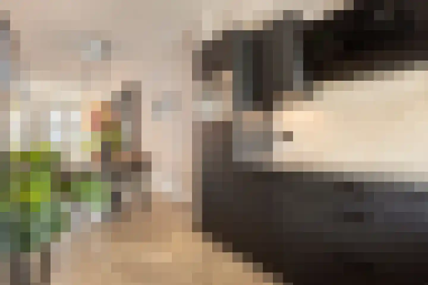 Mackenhof 21 Schaijk thumbnail 19