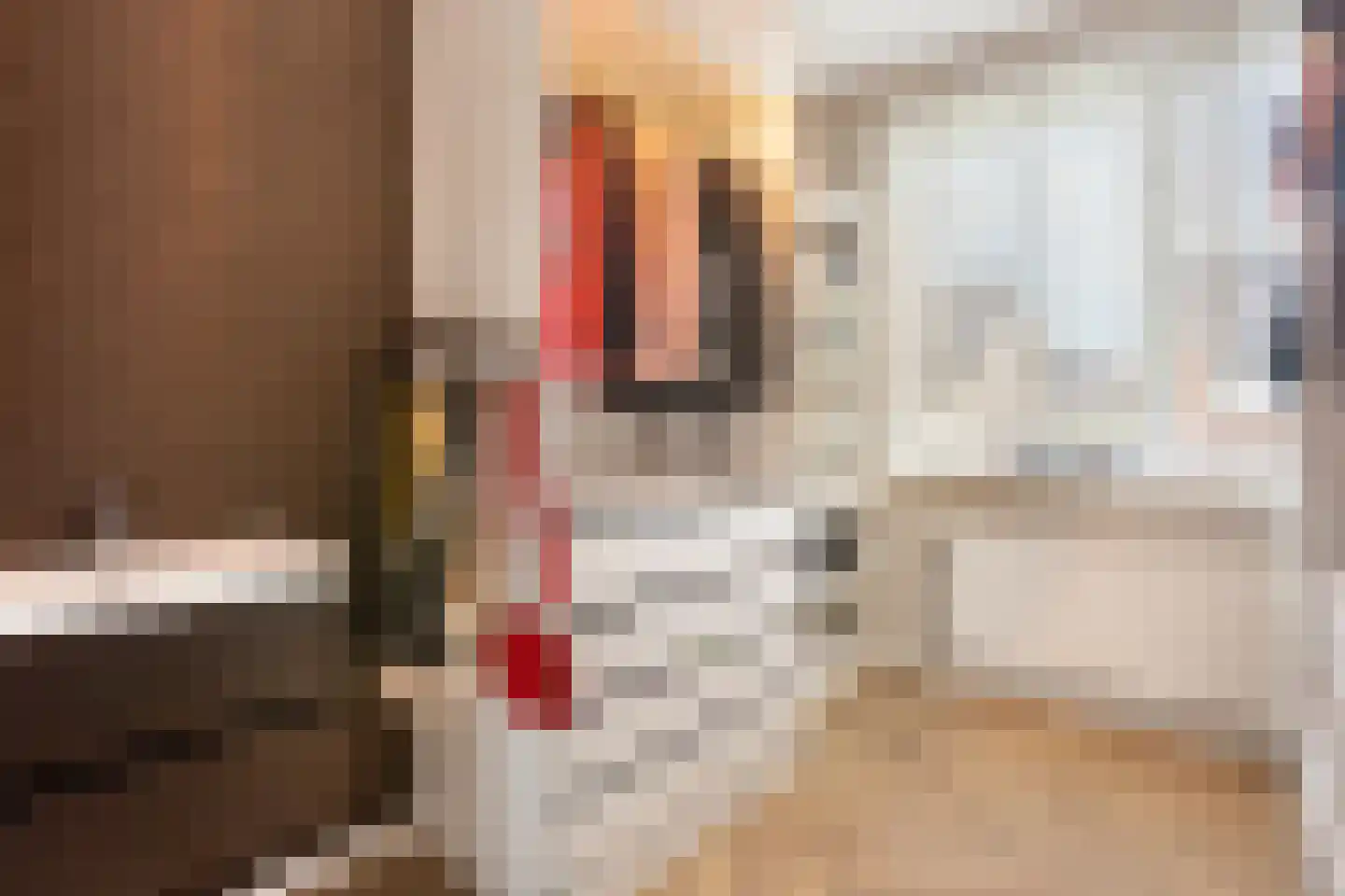 Mackenhof 21 Schaijk thumbnail 26