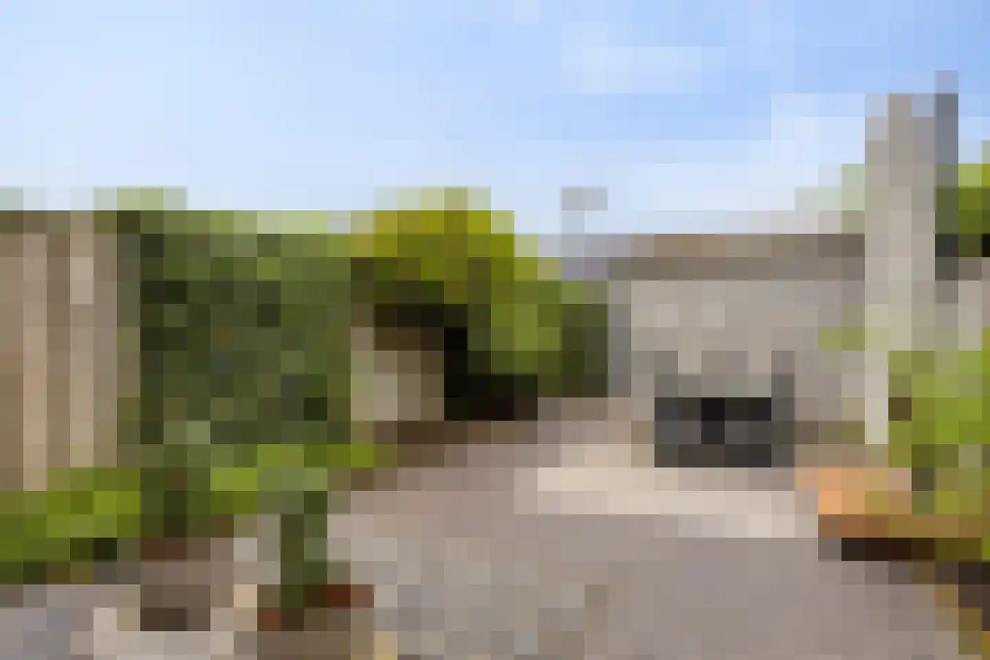 Mackenhof 21 Schaijk thumbnail 32
