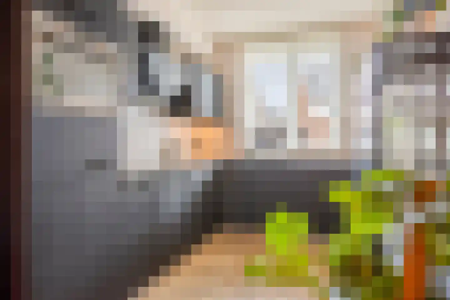 Mackenhof 21 Schaijk thumbnail 4