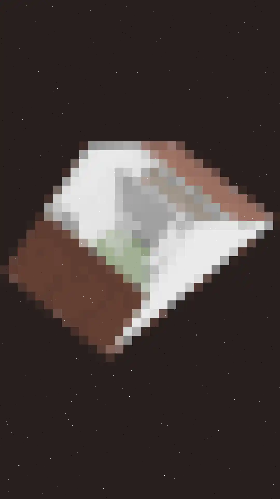 Mackenhof 21 Schaijk thumbnail 47