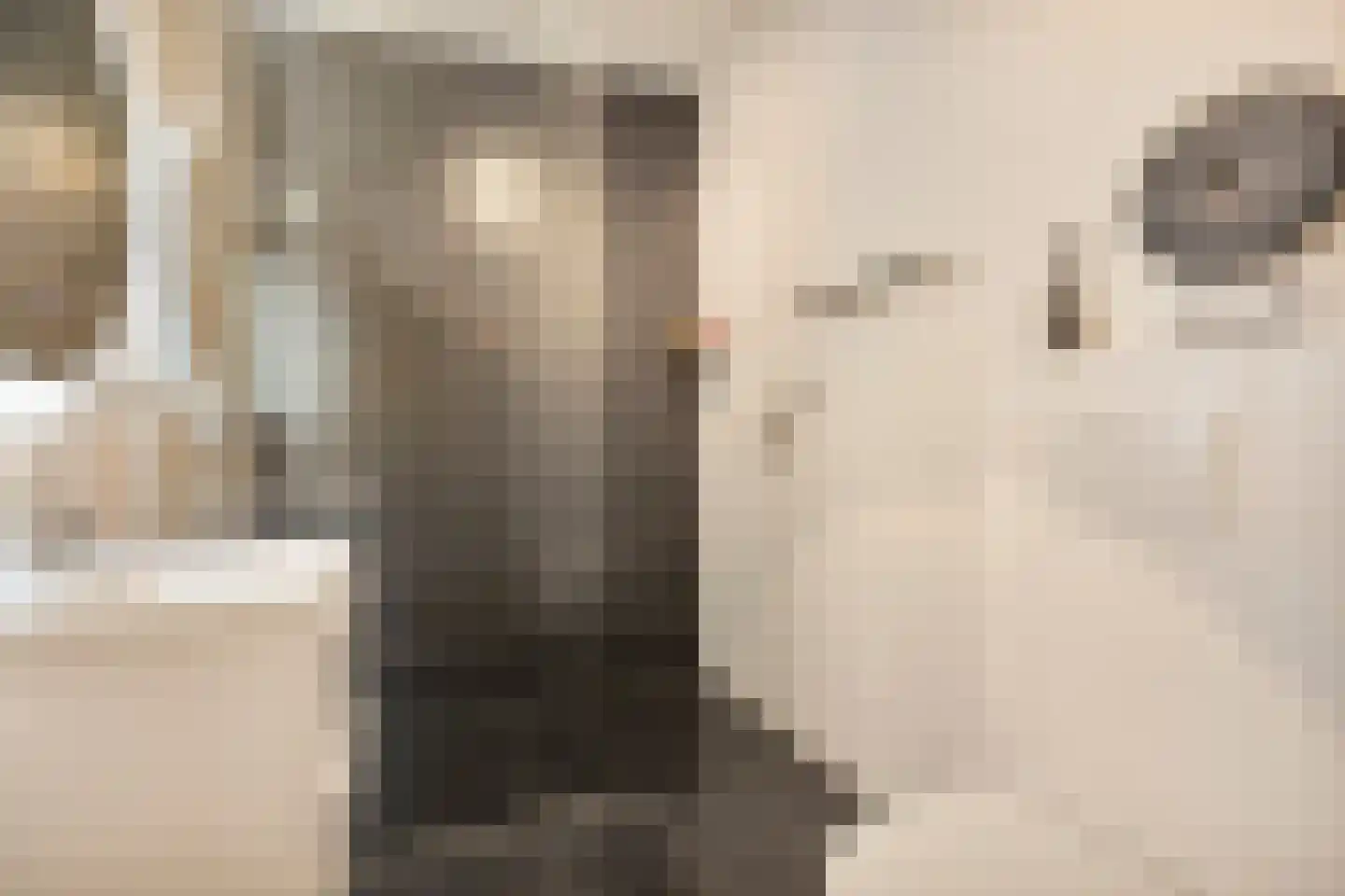 Mackenhof 21 Schaijk thumbnail 6