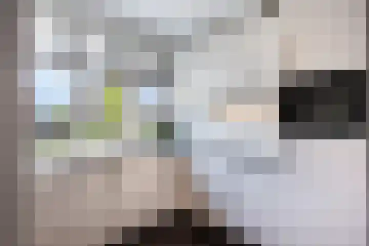 Mackenhof 53 Schaijk thumbnail 13
