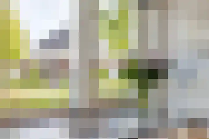 Mackenhof 53 Schaijk thumbnail 14
