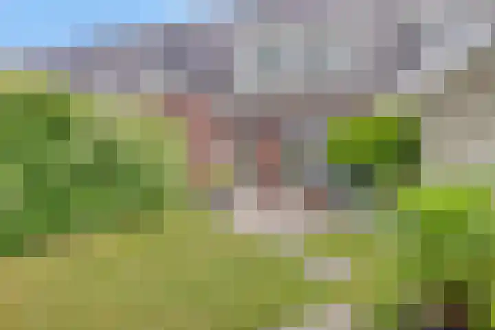 Mackenhof 53 Schaijk thumbnail 31