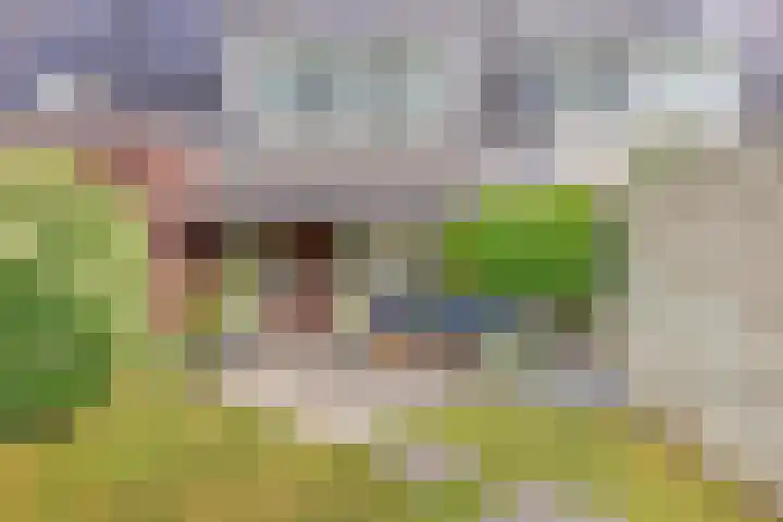 Mackenhof 53 Schaijk thumbnail 32