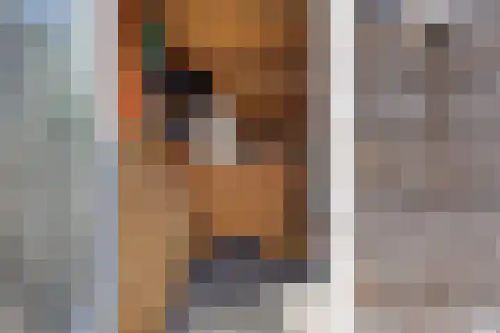 Mackenhof 53 Schaijk thumbnail 34