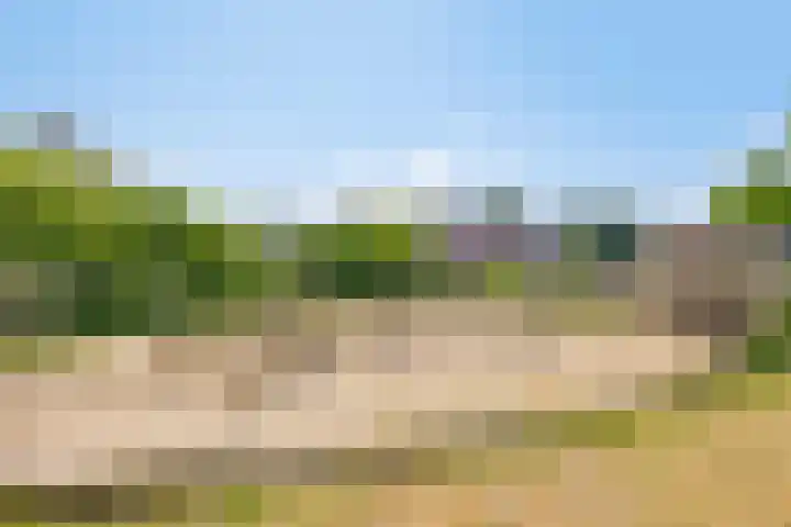 Mackenhof 53 Schaijk thumbnail 38