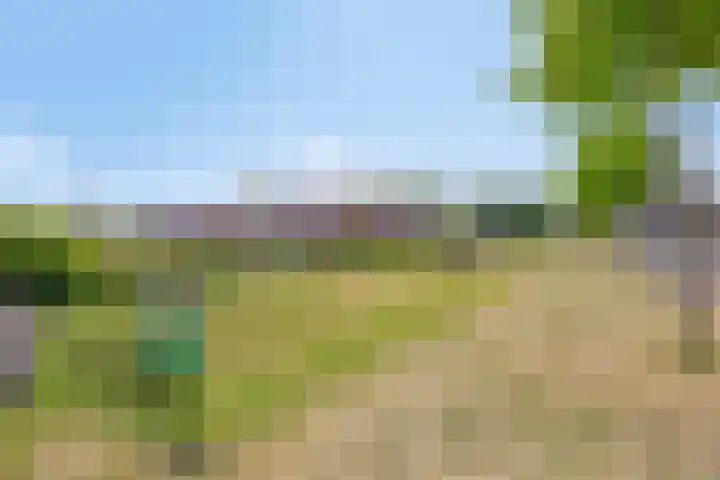 Mackenhof 53 Schaijk thumbnail 39
