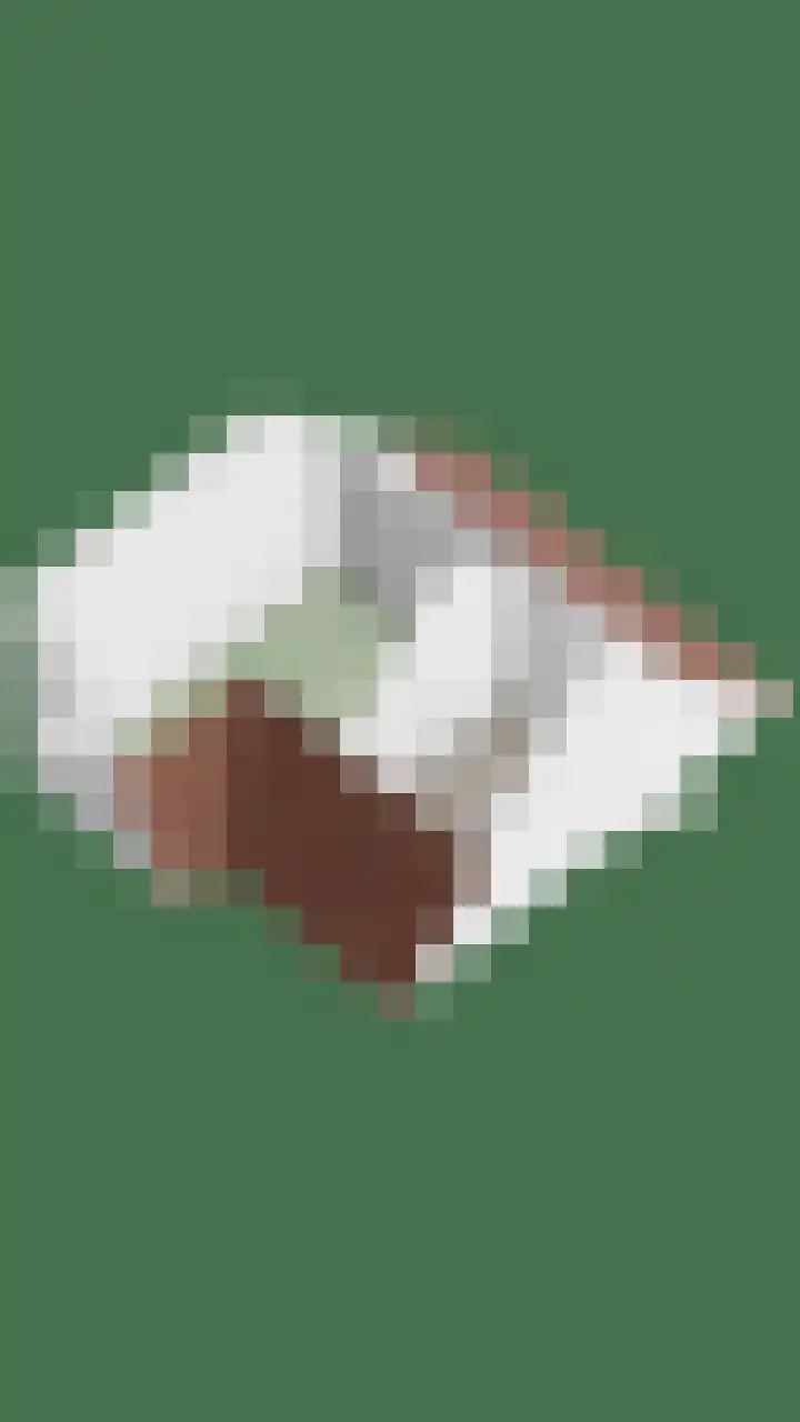 Mackenhof 53 Schaijk thumbnail 47