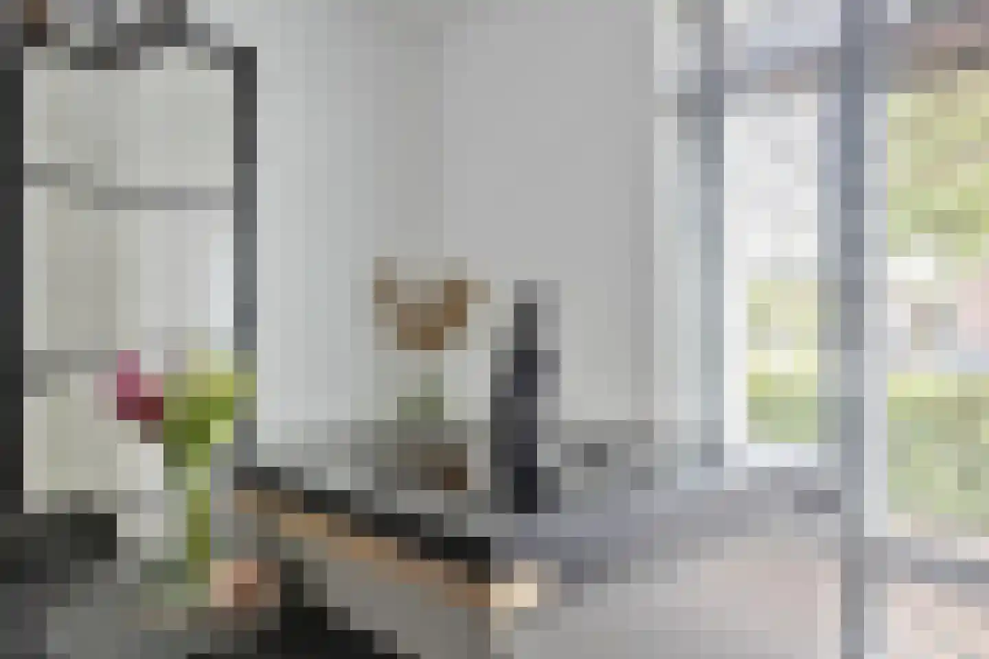 Mackenhof 61 Schaijk thumbnail 16