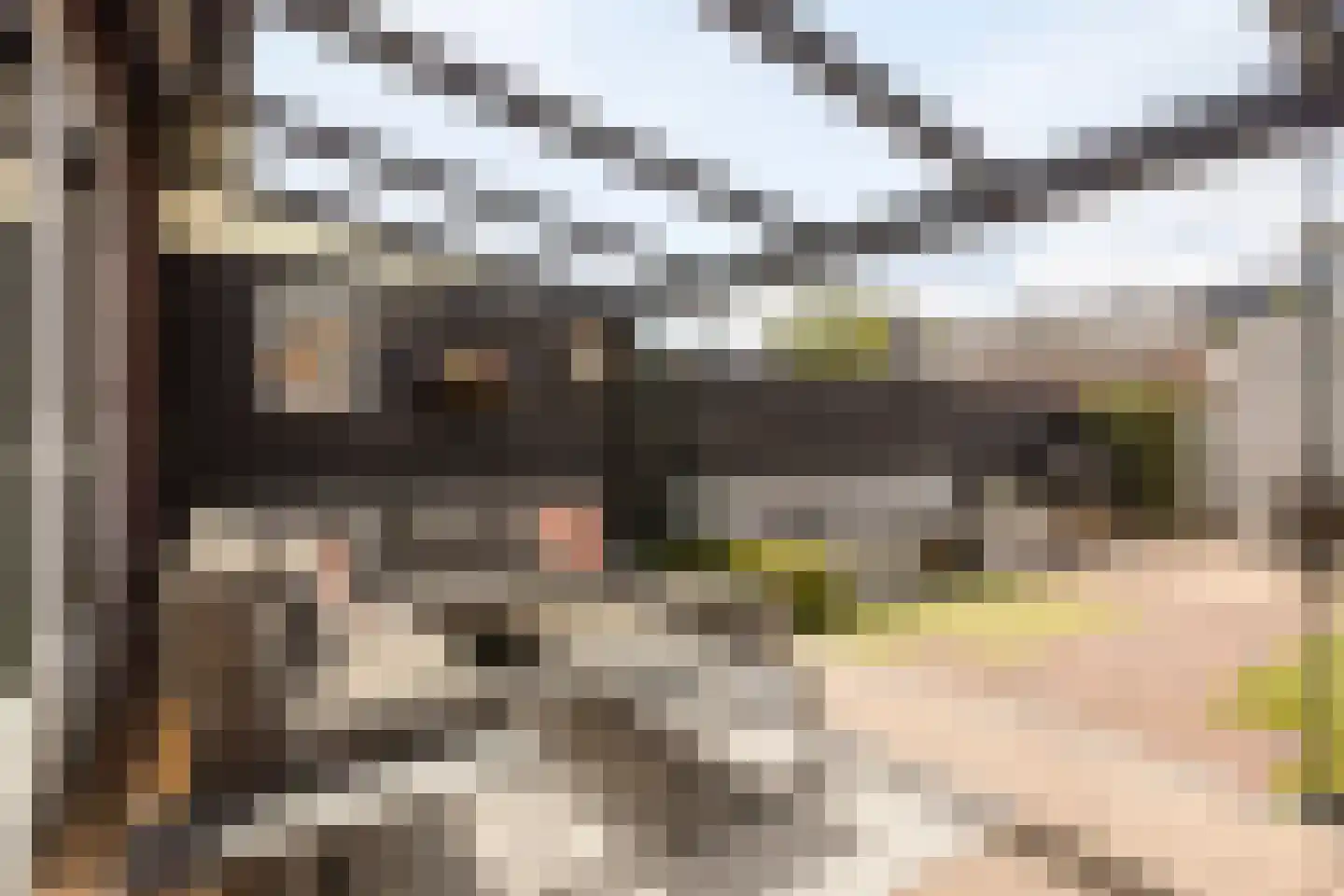 Mackenhof 61 Schaijk thumbnail 17