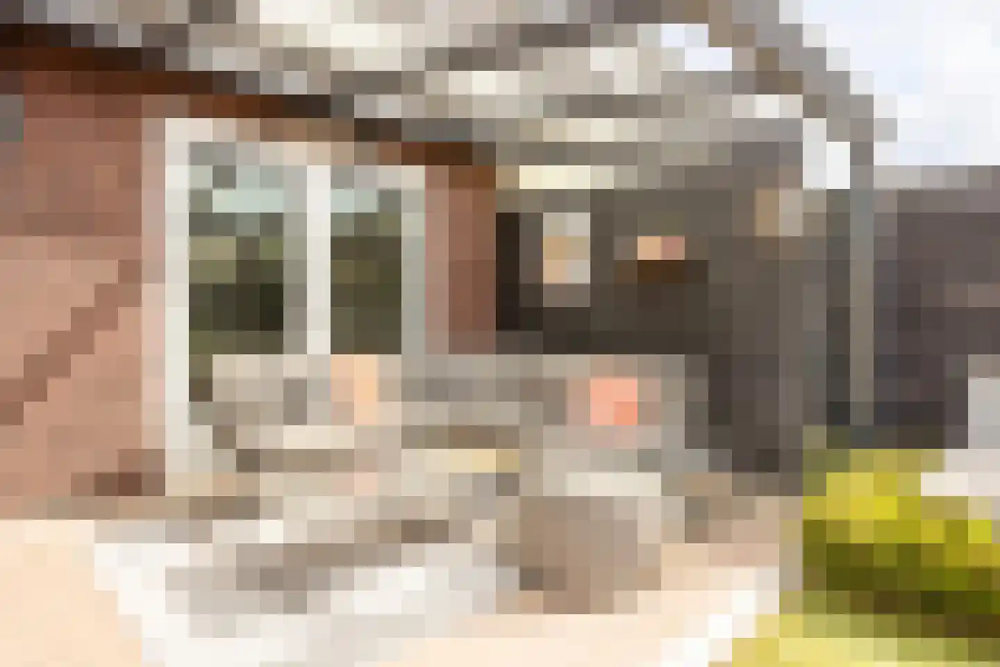 Mackenhof 61 Schaijk thumbnail 18