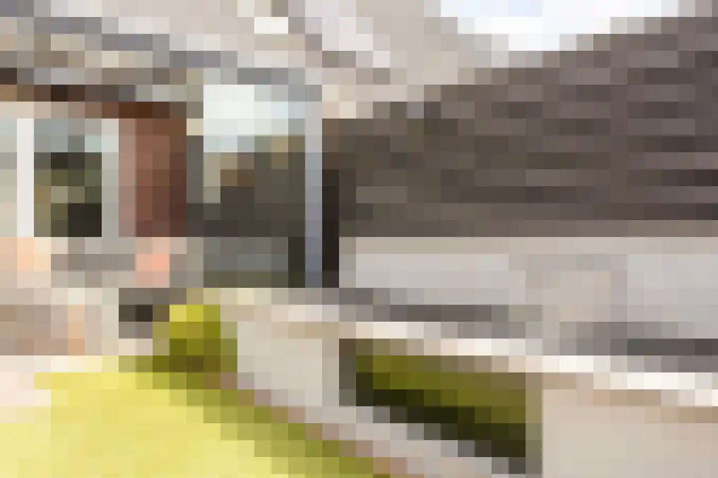 Mackenhof 61 Schaijk thumbnail 21