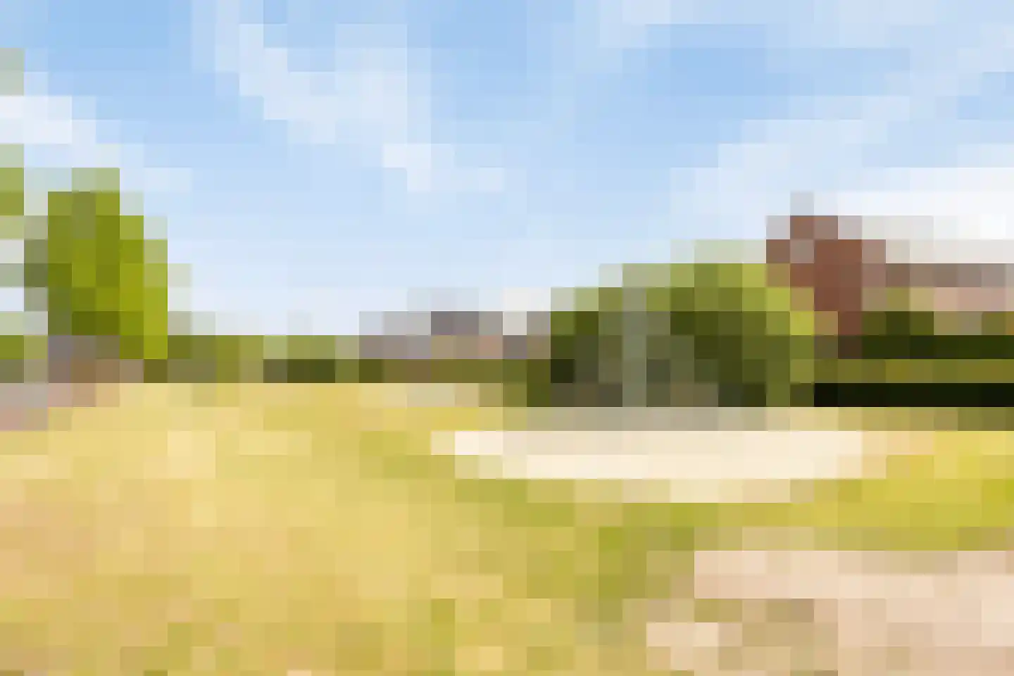 Mackenhof 61 Schaijk thumbnail 43
