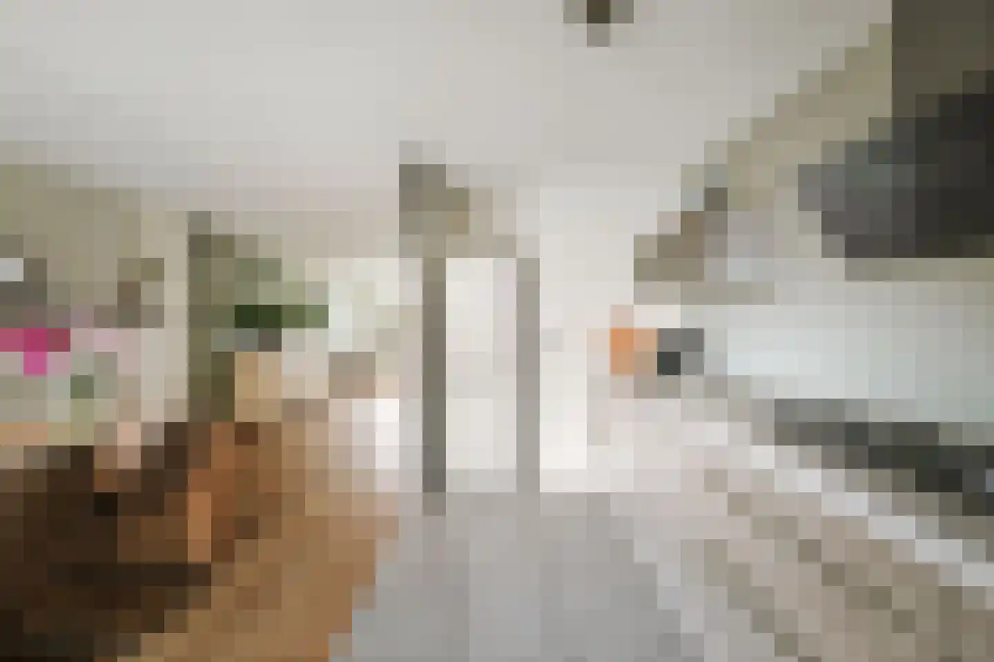 Mackenzieplaats 7 Wilp thumbnail 11