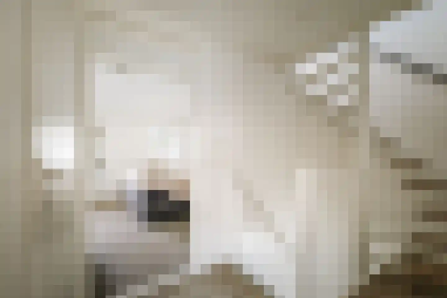 Mackenzieplaats 7 Wilp thumbnail 14