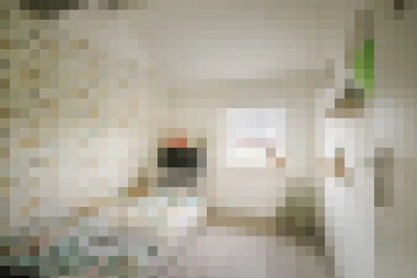 Mackenzieplaats 7 Wilp thumbnail 18