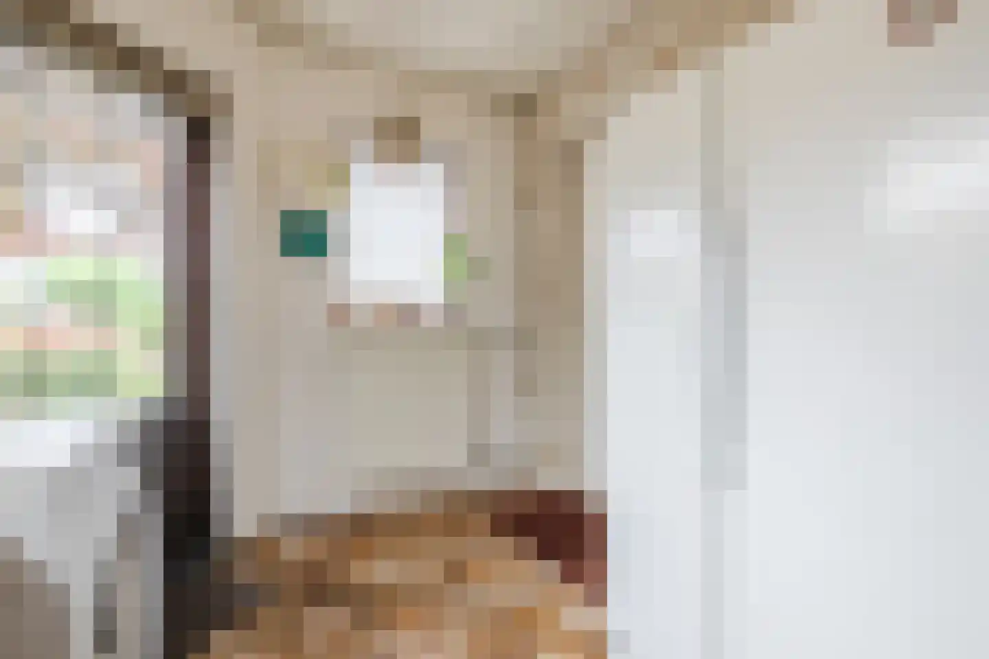 Mackenziestraat 19 Geldrop thumbnail 17