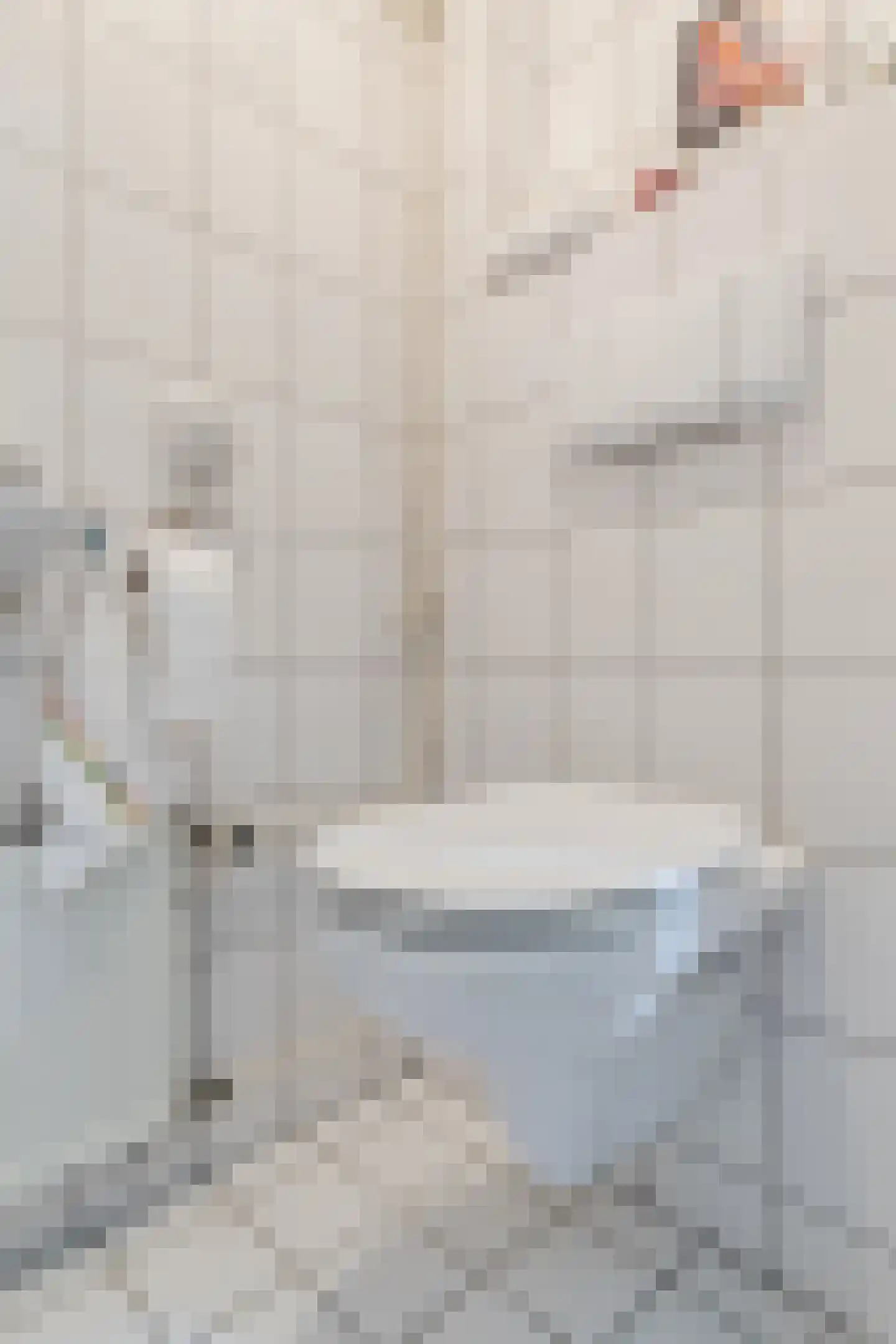 Mackenziestraat 19 Geldrop thumbnail 18
