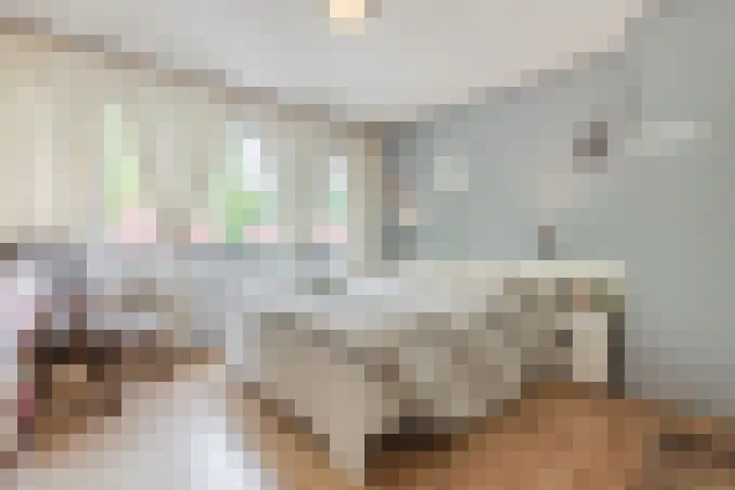 Mackenziestraat 19 Geldrop thumbnail 21