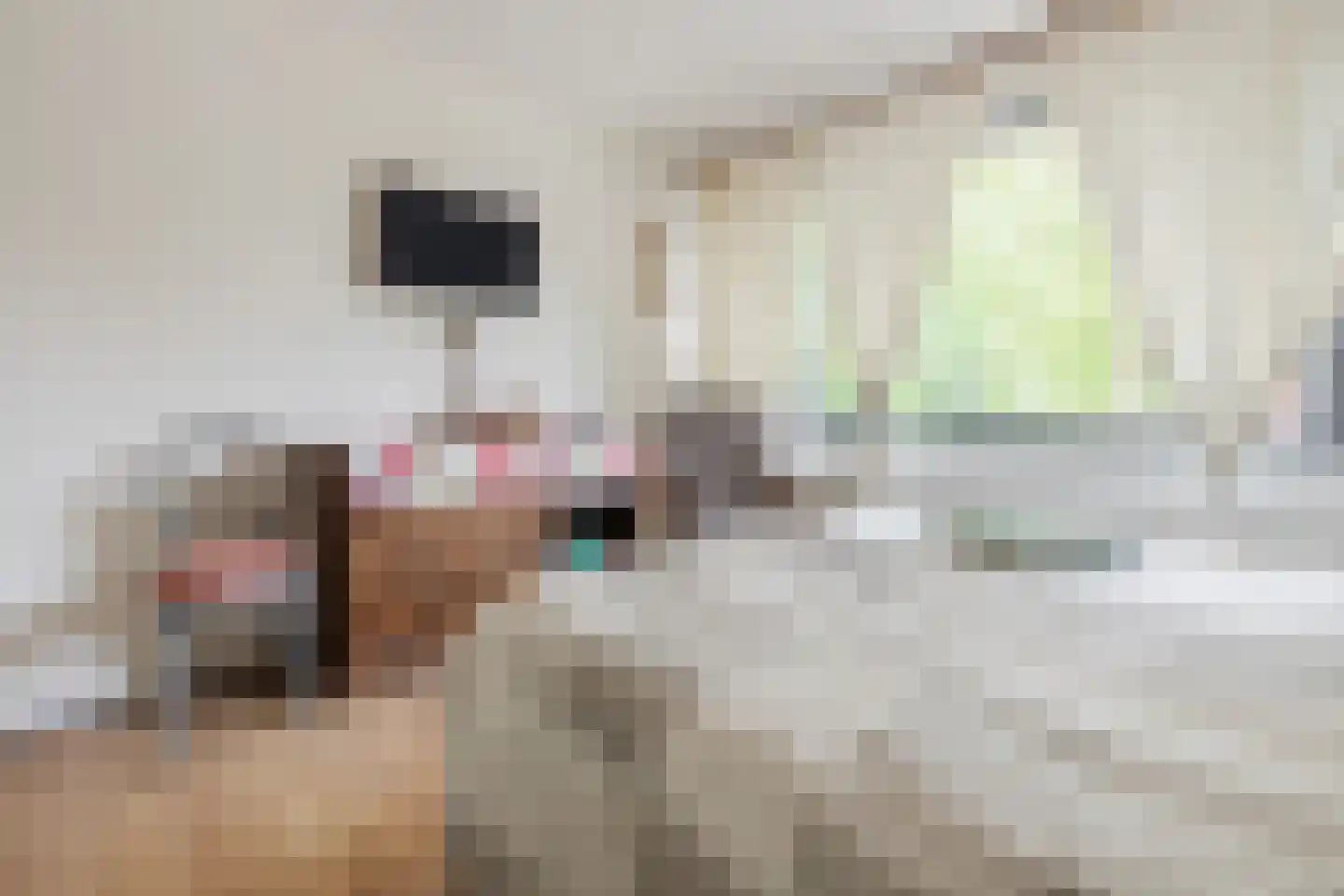 Mackenziestraat 19 Geldrop thumbnail 22