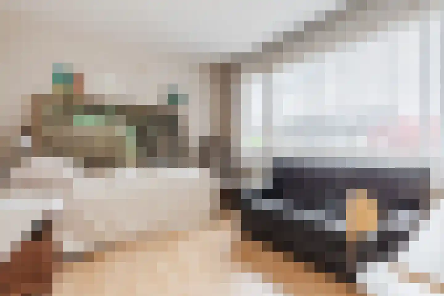 Mackenziestraat 19 Geldrop thumbnail 24