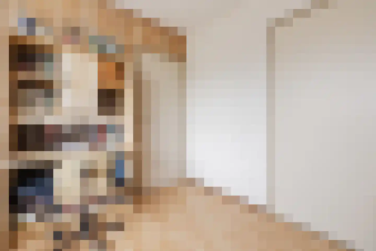 Mackenziestraat 19 Geldrop thumbnail 25
