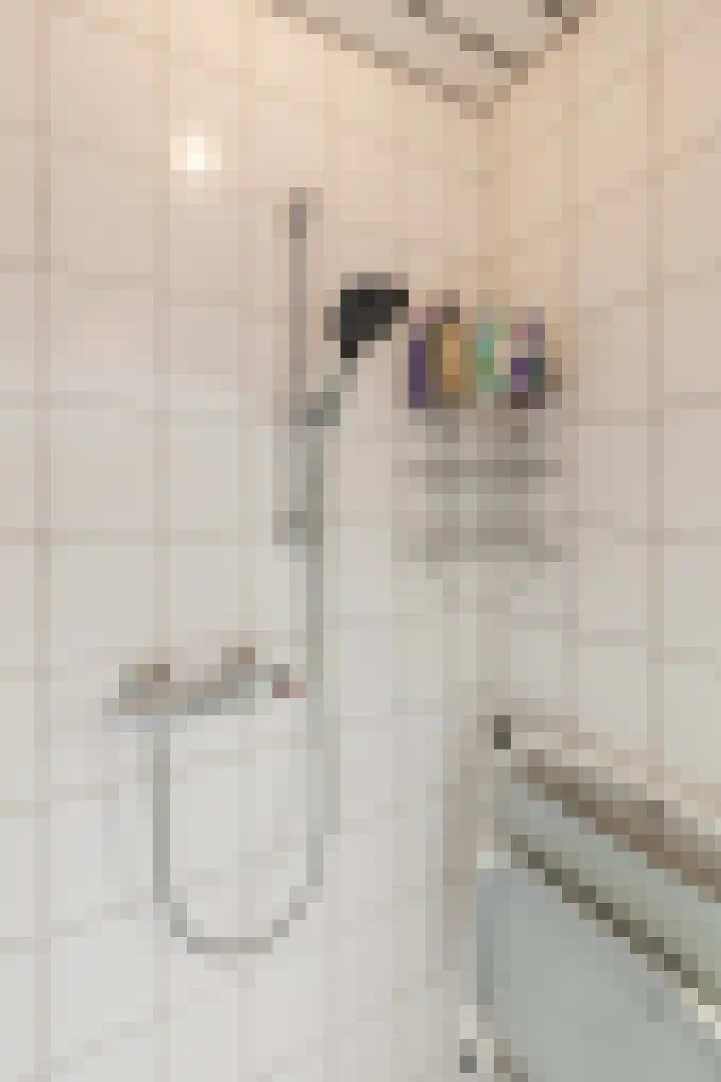 Mackenziestraat 19 Geldrop thumbnail 32