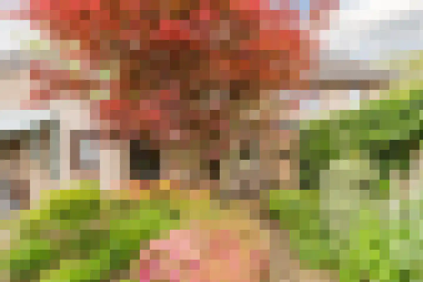 Mackenziestraat 19 Geldrop thumbnail 45