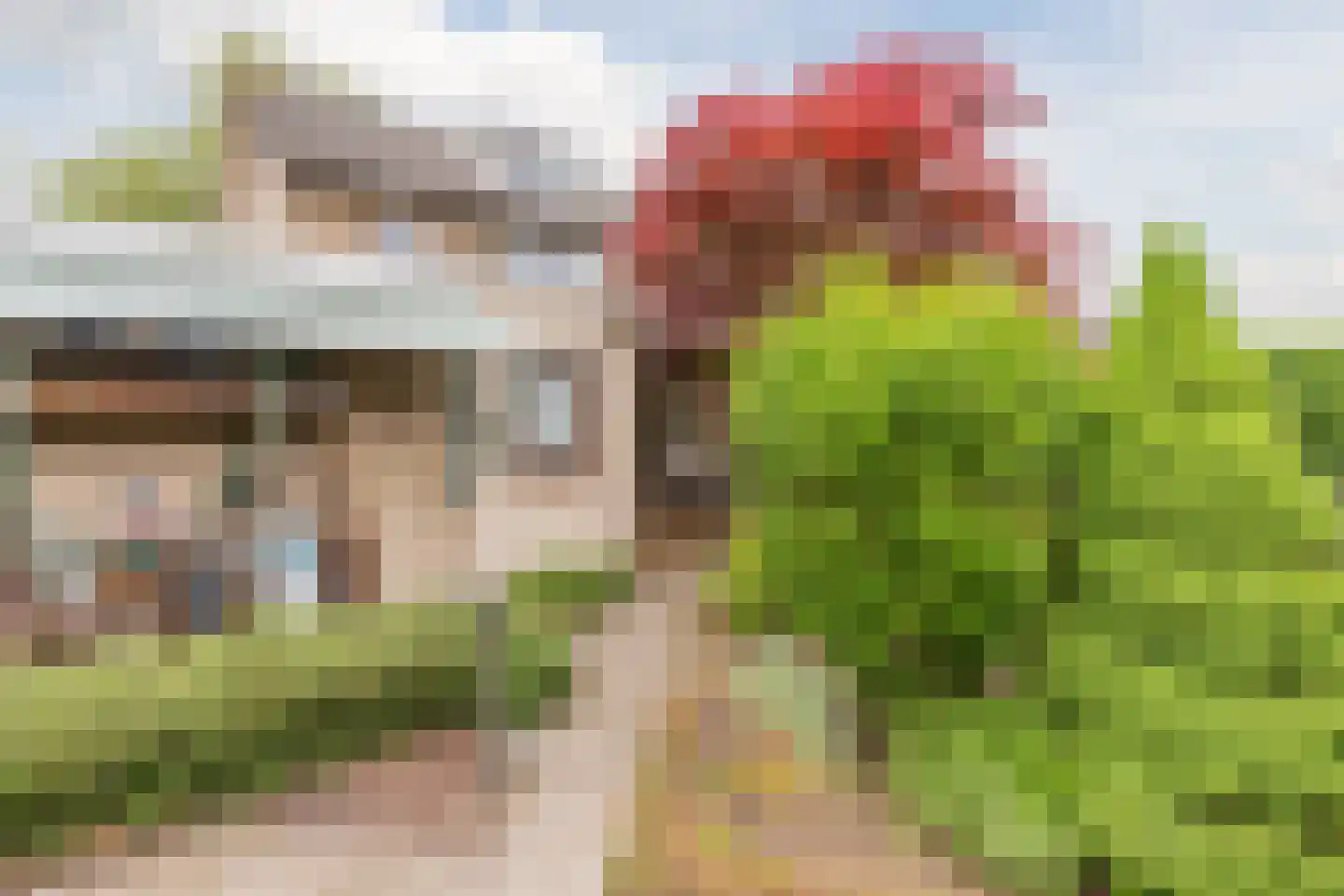 Mackenziestraat 19 Geldrop thumbnail 46