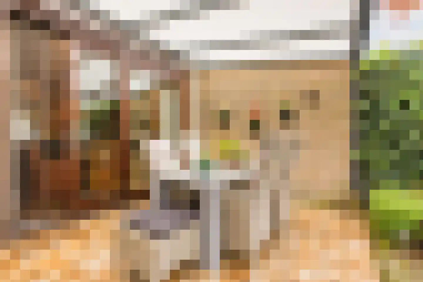 Mackenziestraat 19 Geldrop thumbnail 47