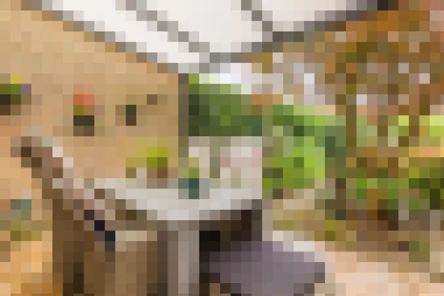 Mackenziestraat 19 Geldrop thumbnail 48
