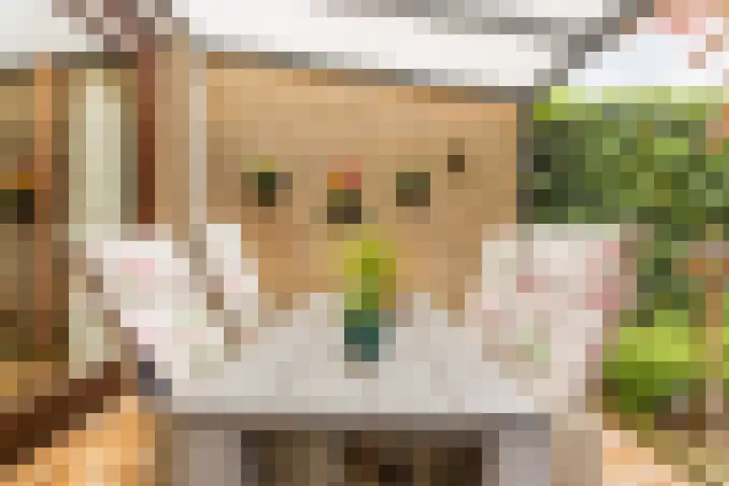 Mackenziestraat 19 Geldrop thumbnail 49