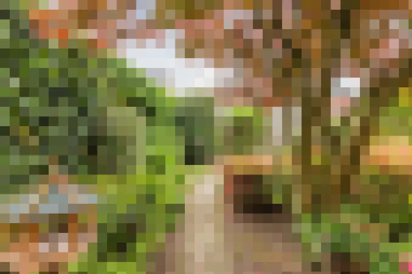 Mackenziestraat 19 Geldrop thumbnail 50